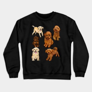 puppy, puppies, lots of puppies! cute cavalier king charles spaniel, Labrador and cavapoochon Crewneck Sweatshirt